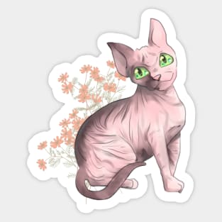 Cat Toon Sphynx Sticker